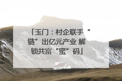 玉门：村企联手“链”出亿元产业 解锁共富“蜜”码