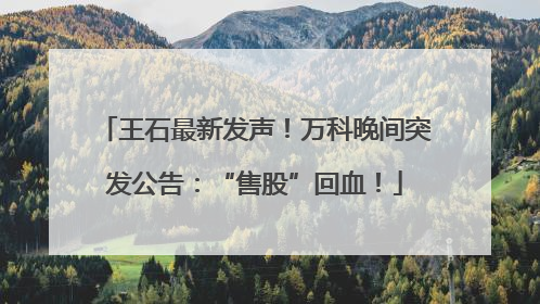 王石最新发声！万科晚间突发公告：“售股”回血！