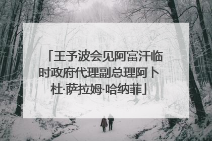 王予波会见阿富汗临时政府代理副总理阿卜杜·萨拉姆·哈纳菲