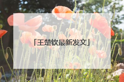 王楚钦最新发文