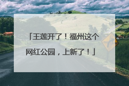 王莲开了！福州这个网红公园，上新了！