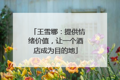 王雪娜：提供情绪价值，让一个酒店成为目的地