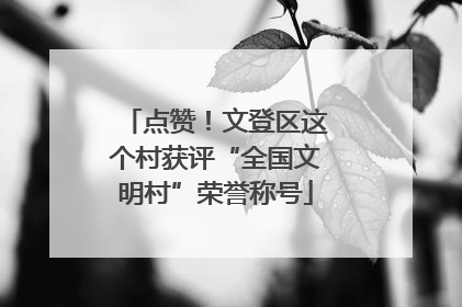 点赞！文登区这个村获评“全国文明村”荣誉称号