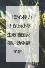 爱心接力！保康小学生救助国家保护动物冠鱼狗