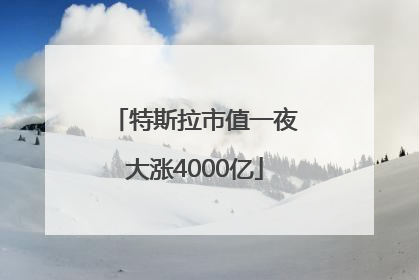 特斯拉市值一夜大涨4000亿