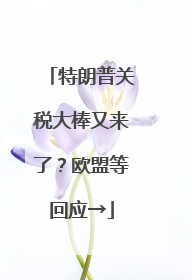 特朗普关税大棒又来了？欧盟等回应→