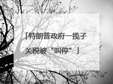 特朗普政府一揽子关税被“叫停”