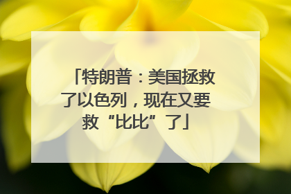 特朗普：美国拯救了以色列，现在又要救“比比”了