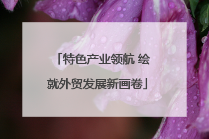 特色产业领航 绘就外贸发展新画卷