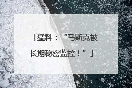猛料：“马斯克被长期秘密监控！”