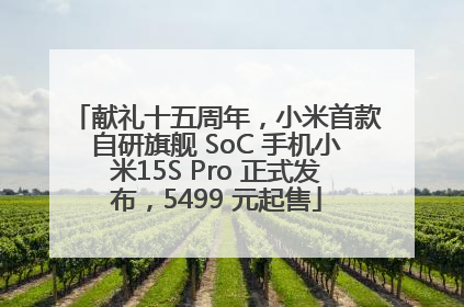 献礼十五周年，小米首款自研旗舰 SoC 手机小米15S Pro 正式发布，5499 元起售