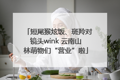 短尾猴炫饭、斑羚对镜头wink 云南山林萌物们“营业”啦