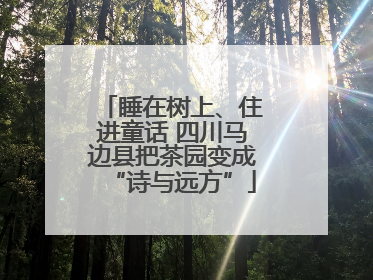 睡在树上、住进童话 四川马边县把茶园变成“诗与远方”