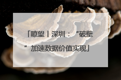 瞭望丨深圳：“破壁”加速数据价值实现