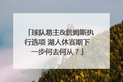 球队易主&詹姆斯执行选项 湖人休赛期下一步何去何从？