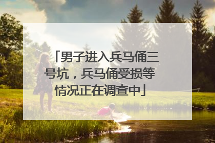 男子进入兵马俑三号坑，兵马俑受损等情况正在调查中