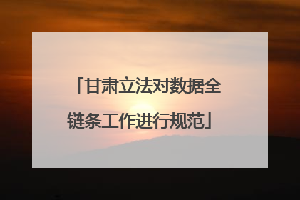 甘肃立法对数据全链条工作进行规范