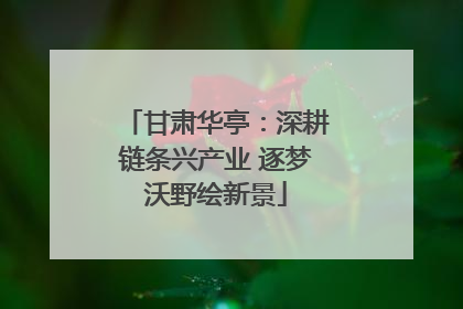 甘肃华亭：深耕链条兴产业 逐梦沃野绘新景