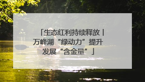 生态红利持续释放丨万峰湖“绿动力”提升发展“含金量”