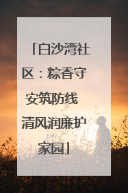 白沙湾社区：粽香守安筑防线 清风润廉护家园