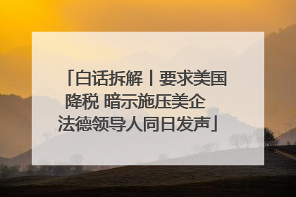 白话拆解丨要求美国降税 暗示施压美企 法德领导人同日发声