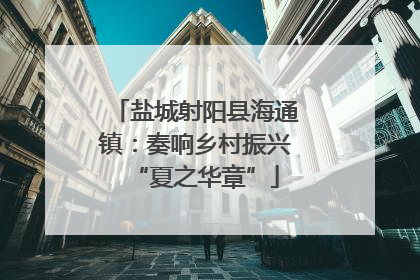盐城射阳县海通镇：奏响乡村振兴“夏之华章”