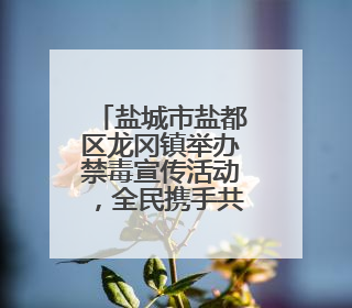 盐城市盐都区龙冈镇举办禁毒宣传活动，全民携手共筑禁毒防线