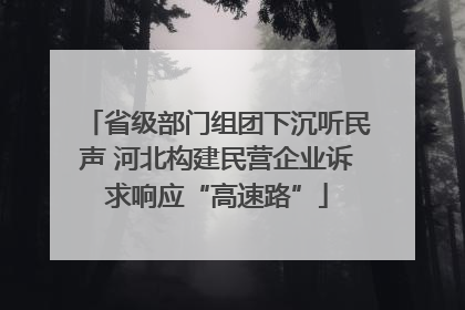 省级部门组团下沉听民声 河北构建民营企业诉求响应“高速路”