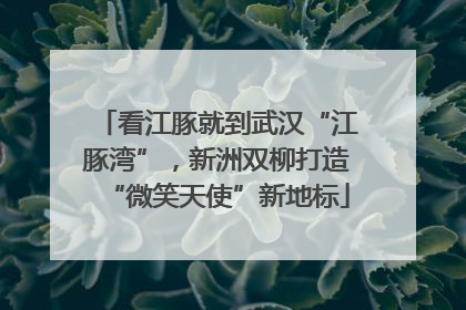看江豚就到武汉“江豚湾”，新洲双柳打造“微笑天使”新地标