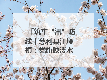 筑牢“汛”防线｜慈利县江垭镇：党旗映溇水 清淤见担当