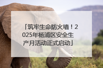 筑牢生命防火墙！2025年杨浦区安全生产月活动正式启动