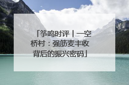 筝鸣时评丨一空桥村：强筋麦丰收背后的振兴密码