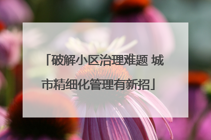 破解小区治理难题 城市精细化管理有新招