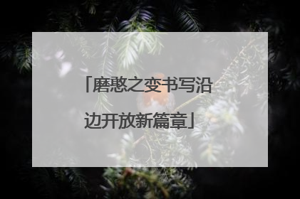 磨憨之变书写沿边开放新篇章