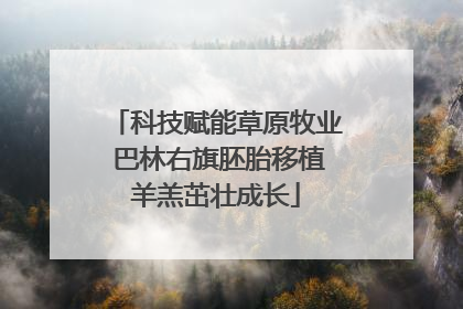 科技赋能草原牧业 巴林右旗胚胎移植羊羔茁壮成长