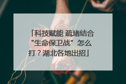 科技赋能 疏堵结合 “生命保卫战”怎么打？湖北各地出招