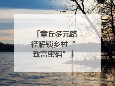 章丘多元路径解锁乡村“致富密码”