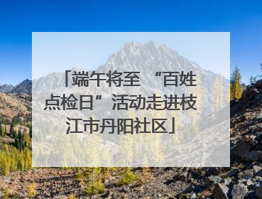 端午将至 “百姓点检日”活动走进枝江市丹阳社区
