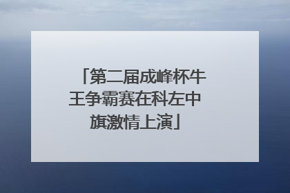第二届成峰杯牛王争霸赛在科左中旗激情上演