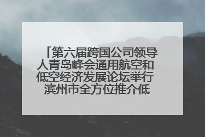 第六届跨国公司领导人青岛峰会通用航空和低空经济发展论坛举行 滨州市全方位推介低空经济发展优势