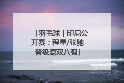 羽毛球｜印尼公开赛：程星/张驰晋级混双八强