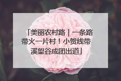 美丽农村路｜一条路带火一片村！小贺线带溪望谷成团出道
