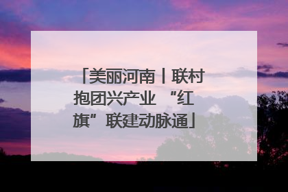美丽河南丨联村抱团兴产业 “红旗”联建动脉通