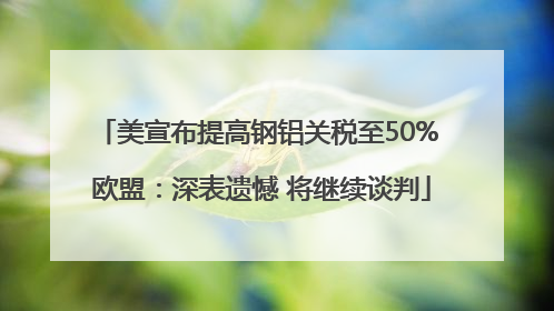 美宣布提高钢铝关税至50% 欧盟：深表遗憾 将继续谈判
