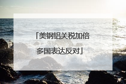 美钢铝关税加倍 多国表达反对