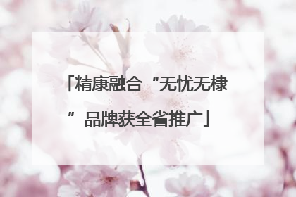 精康融合“无忧无棣”品牌获全省推广