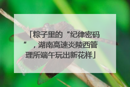 粽子里的“纪律密码”，湖南高速炎陵西管理所端午玩出新花样