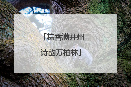 粽香满并州 诗韵万柏林