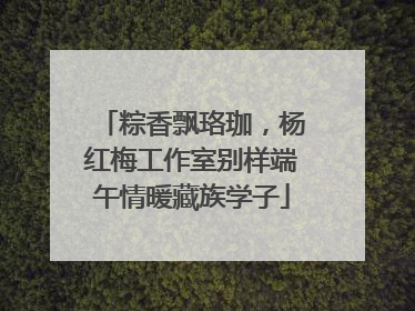 粽香飘珞珈，杨红梅工作室别样端午情暖藏族学子