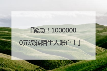 紧急！10000000元误转陌生人账户！